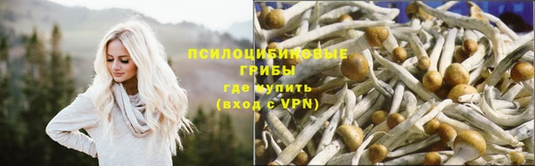 героин Богородицк