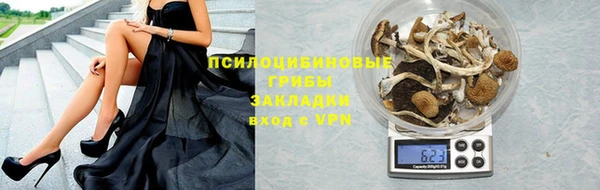 гашиш Богданович