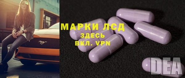 ГАЛЛЮЦИНОГЕННЫЕ ГРИБЫ Верея