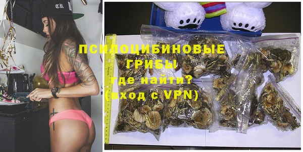 гашиш Богданович