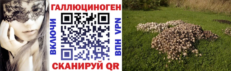 продажа наркотиков  Духовщина  Псилоцибиновые грибы ЛСД 