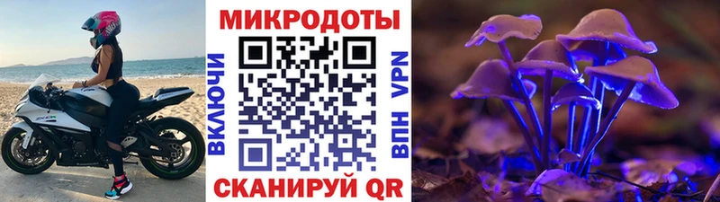 Псилоцибиновые грибы Psilocybine cubensis Духовщина